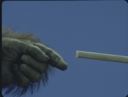 100_08_Step02_thumb.jpg