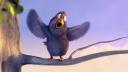 bird.jpg