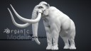 blender-mammoth