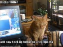 hacker-kitteh
