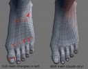 feet_new