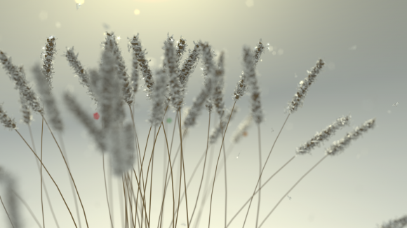 blenderdiplom.frost1