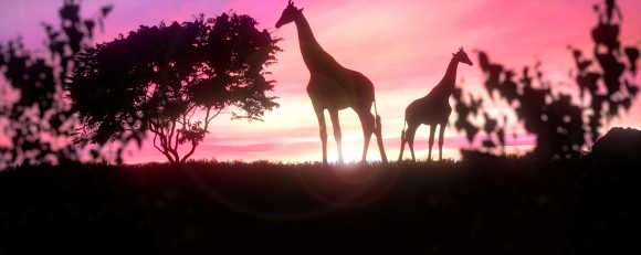 africa sunset - Downsized