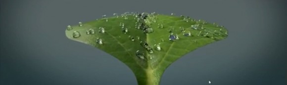 drop