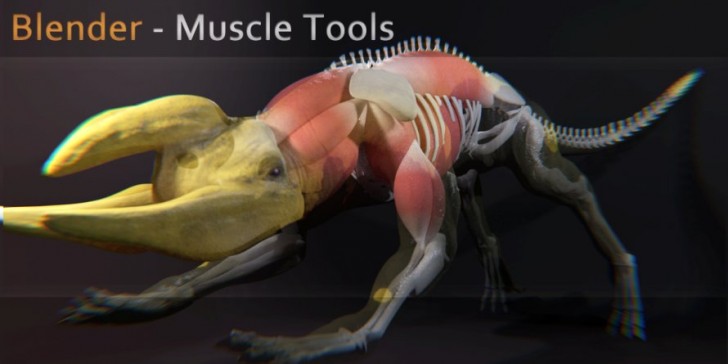 Blender Muscle Tools