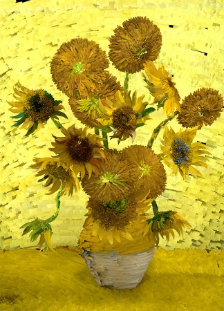 GIRASOLI-web