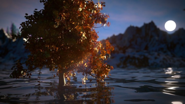 The Lake's Tree in Autumn