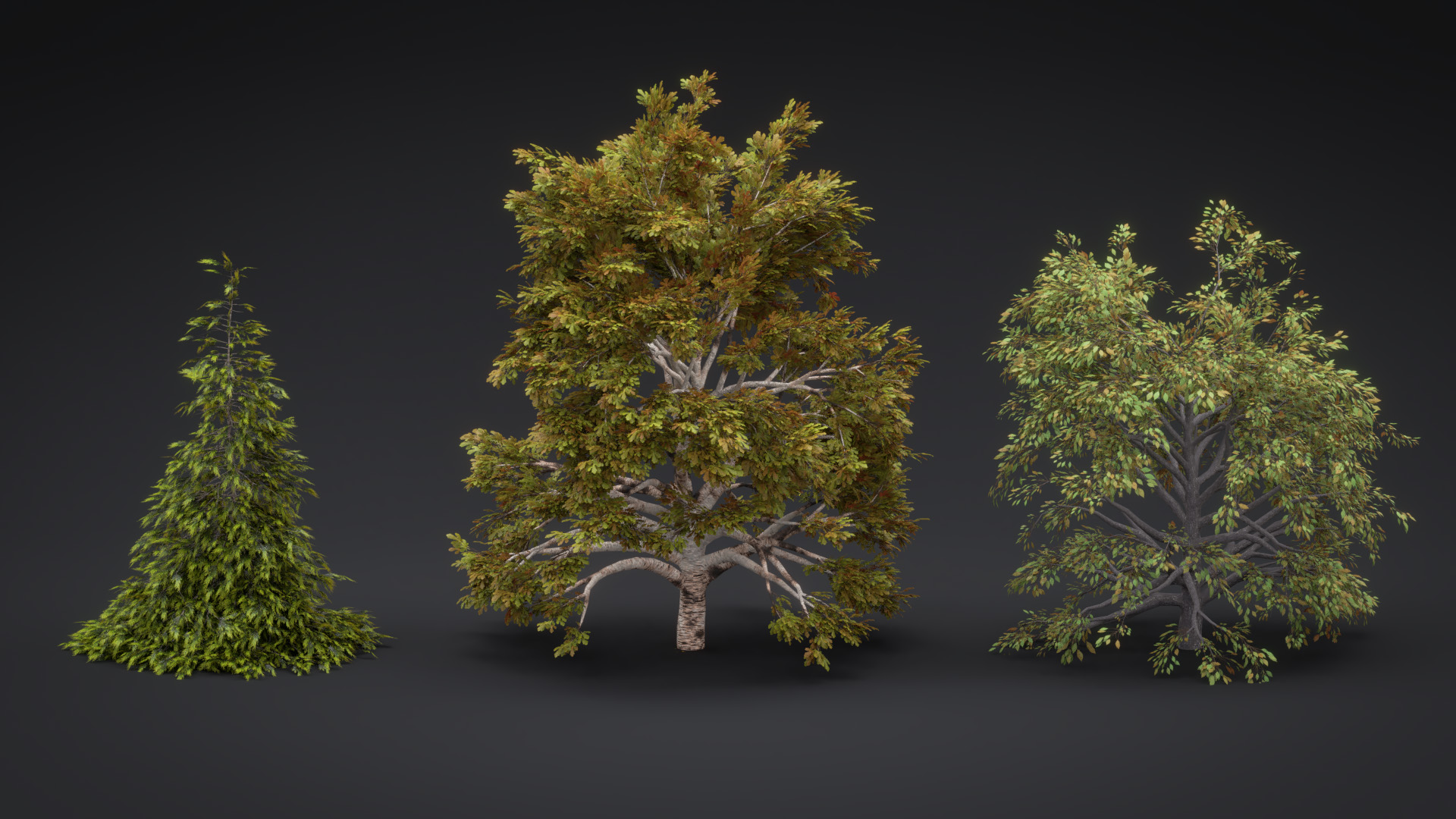 Blender 2 Tree creation With the Modular Add-on - BlenderNation
