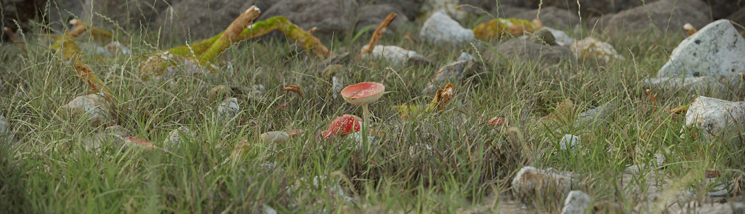 Mushrooms