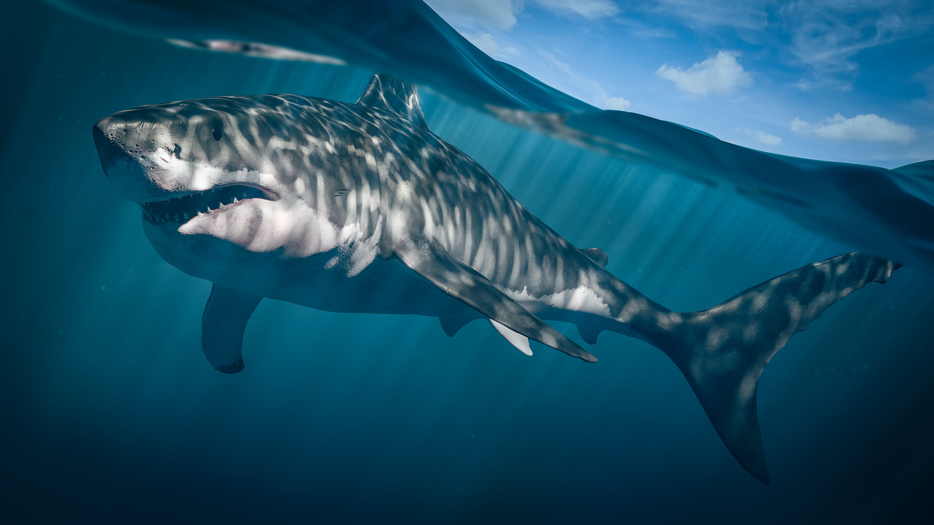 Great white Shark - Finished Projects - Blender Artists Community