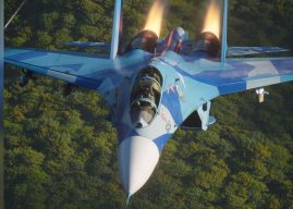 Behind the Scenes: Su-27UB - Over the Forest