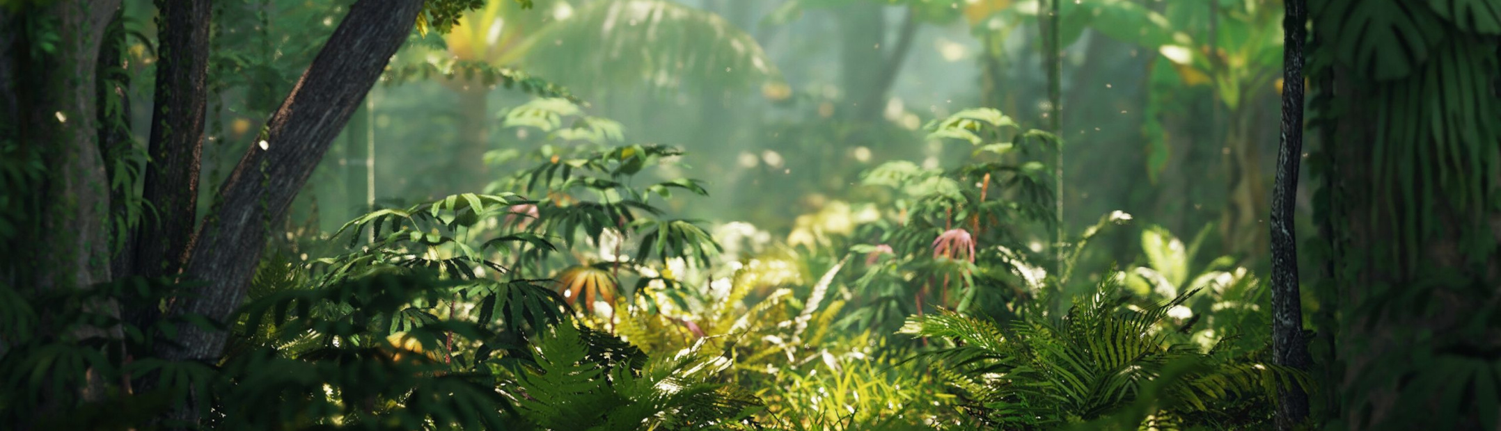 jungle-or-forest-blendernation