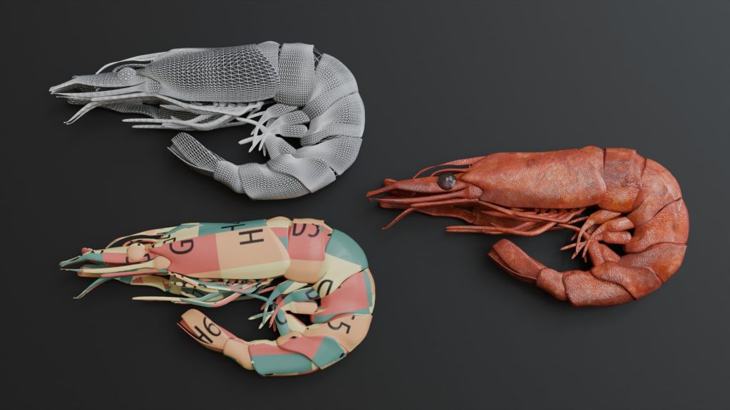 Shrimp Wireframe, UV, Material