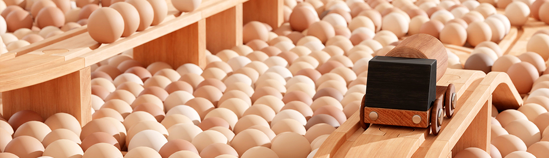 Wooden Train X Ball Pit