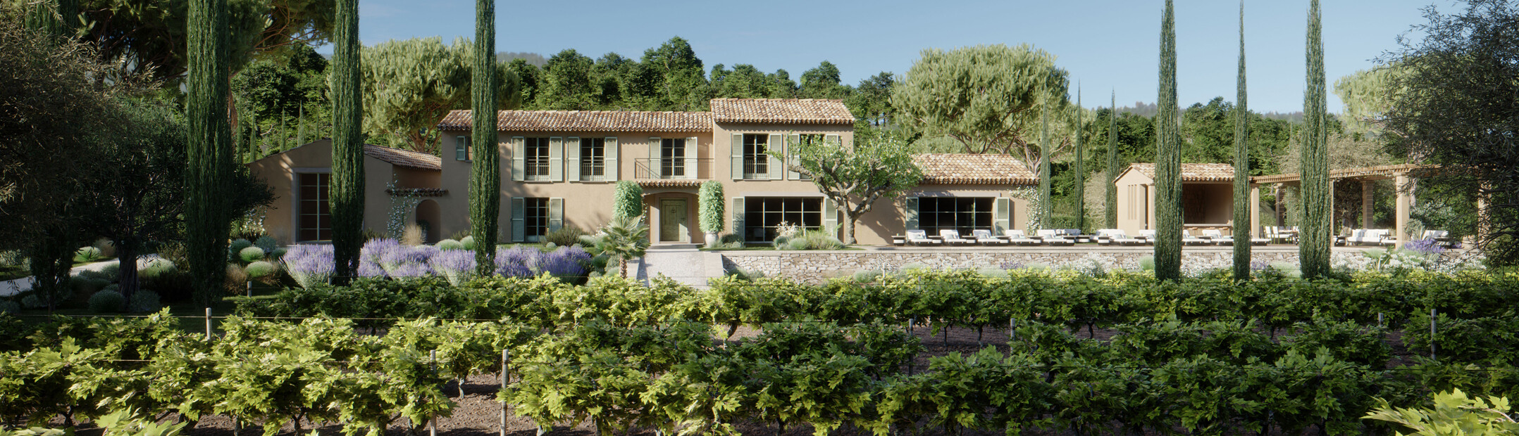 South Of France Wineyard Mood