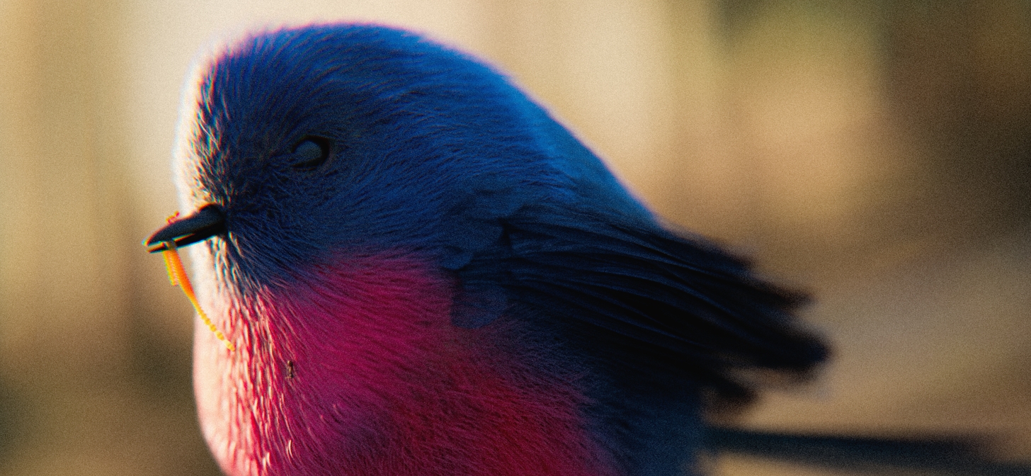 A close-up of a vibrant bird with blue and pink plumage, perched outdoors.