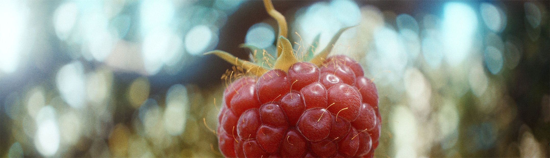 Raspberry